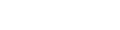Director Group